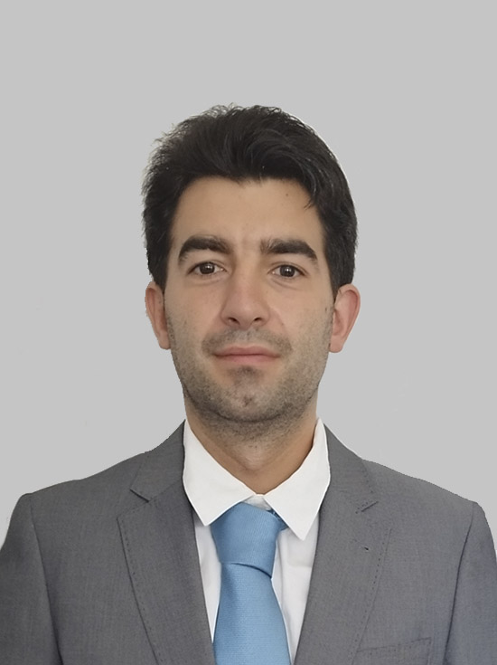 Francisco de Araújo Rebelo