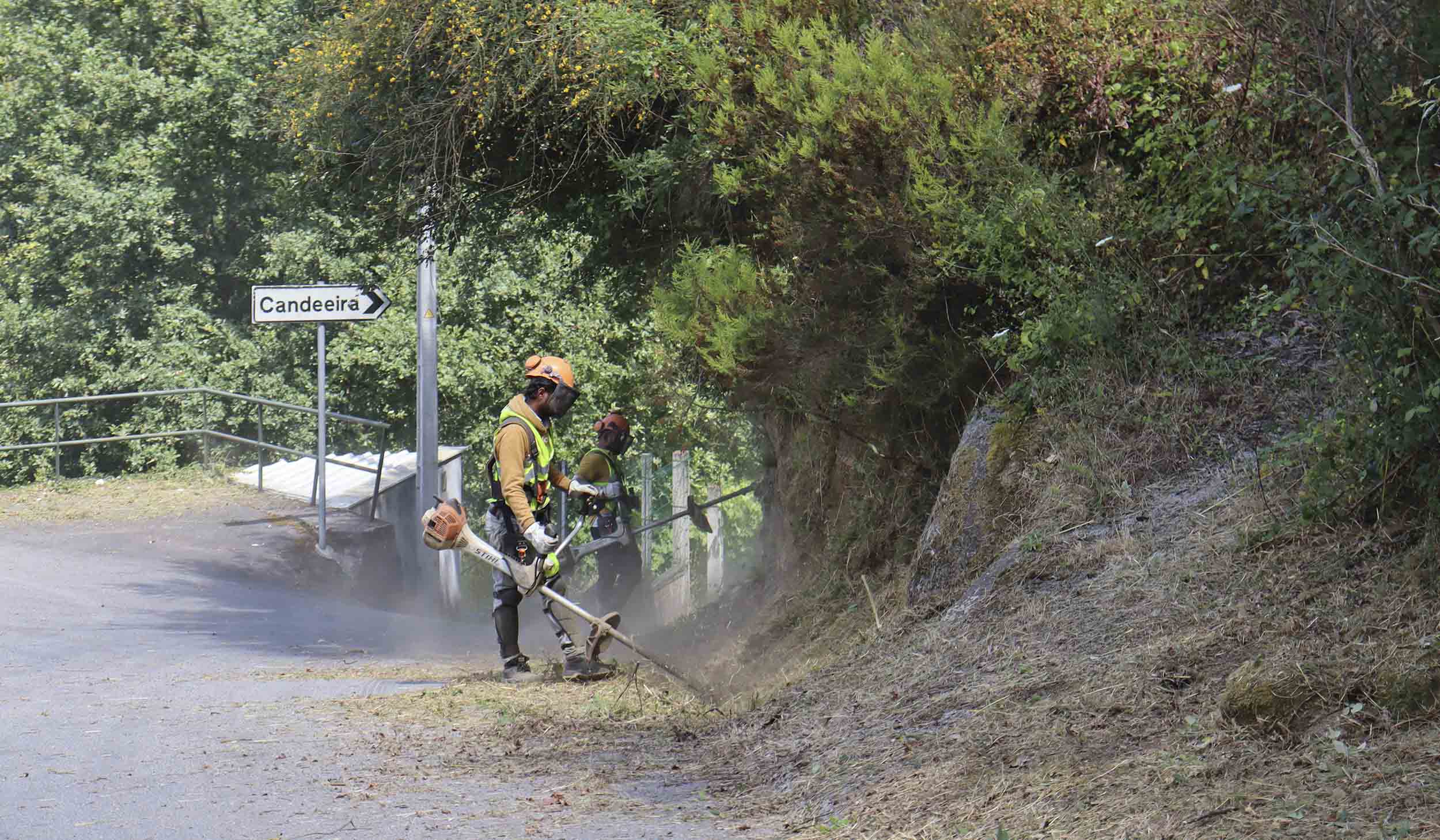 Câmara limpa bermas e valetas no Concelho