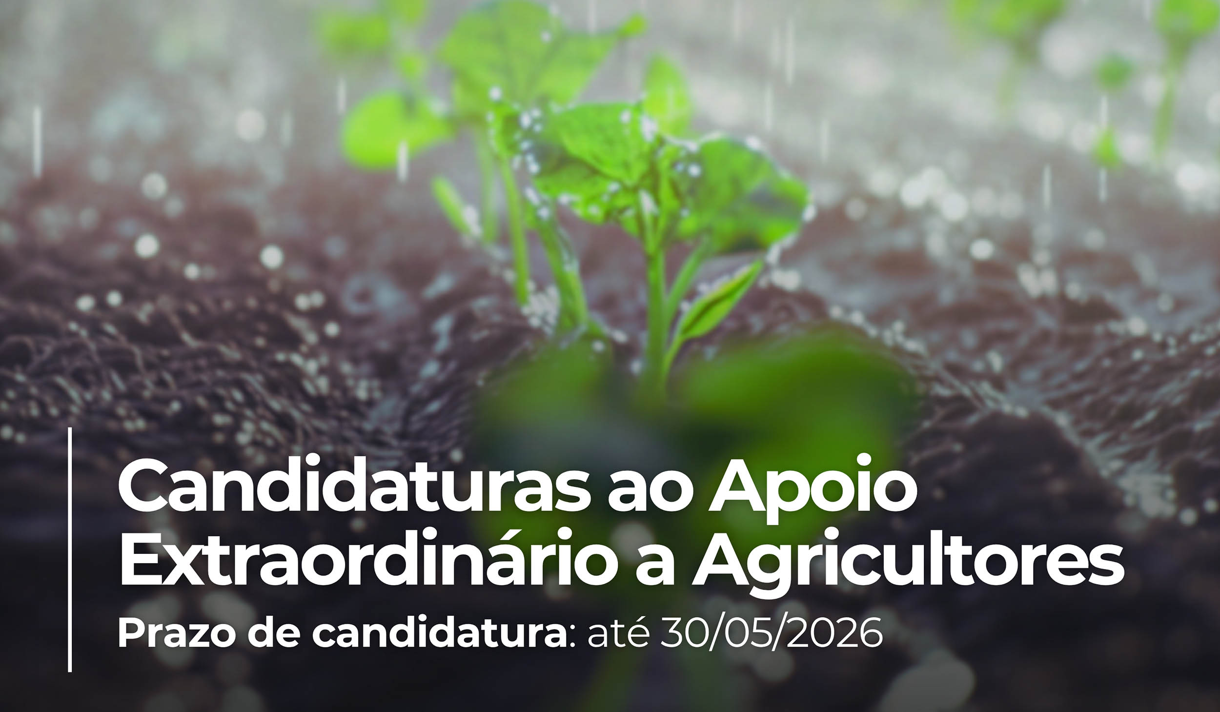 Apoio Extraordinário aos Agricultores afetados pela Tempestade Kristin