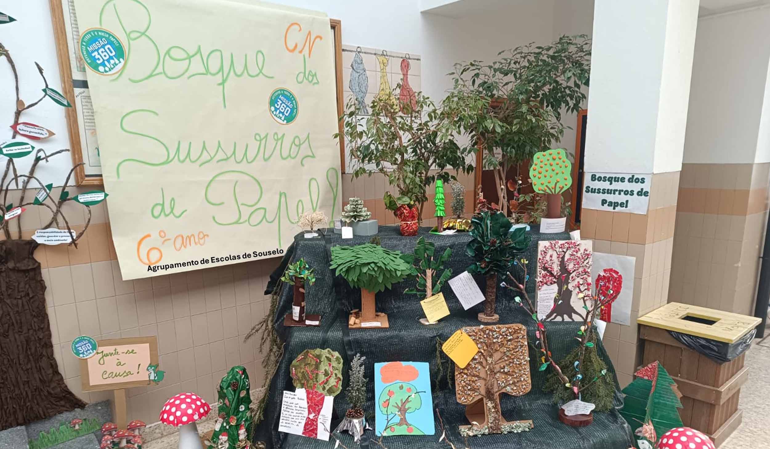 Parabéns à Escola EB 2,3 de Souselo!