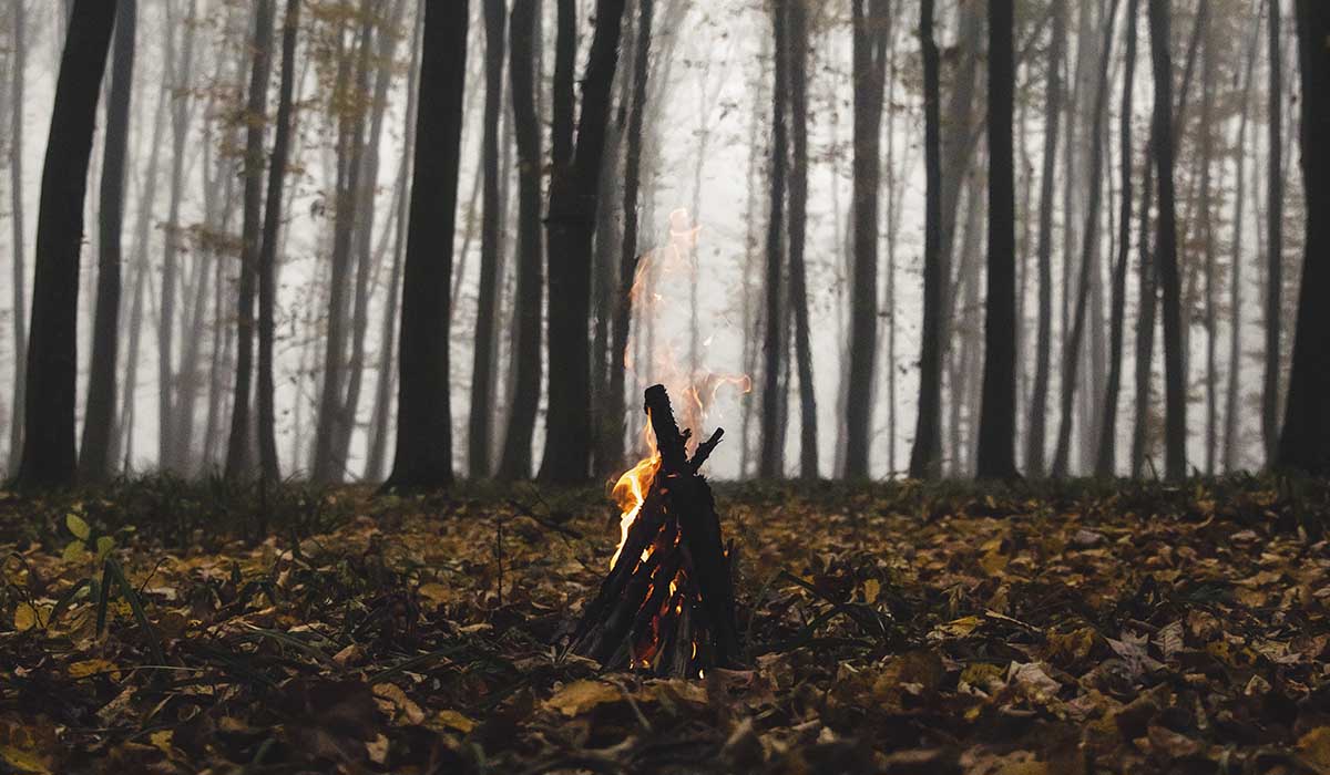 Comissão Municipal de Defesa da Floresta Contra Incêndios
