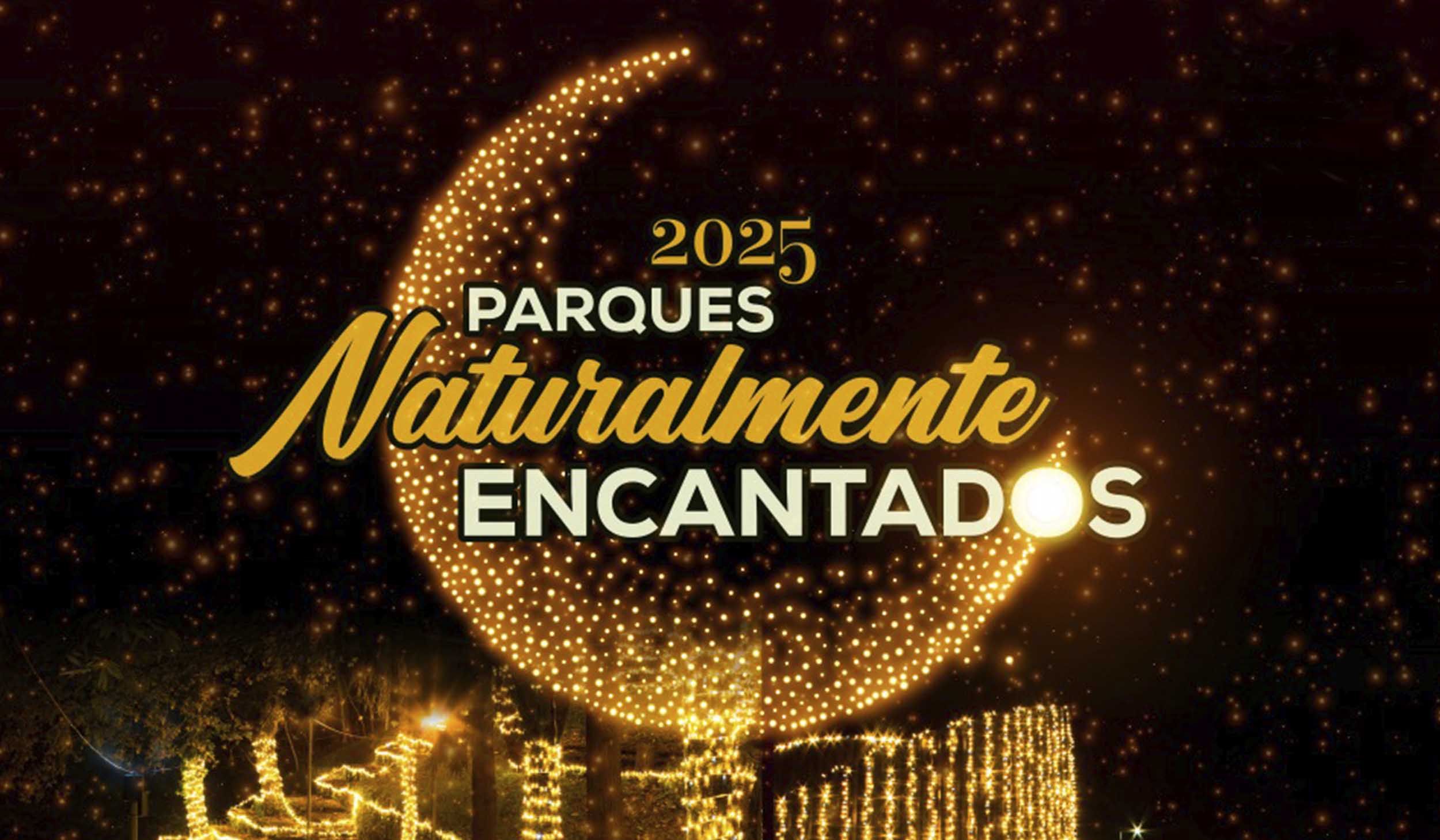 Parques Naturalmente Encantados voltam a iluminar o Natal em Cinfães