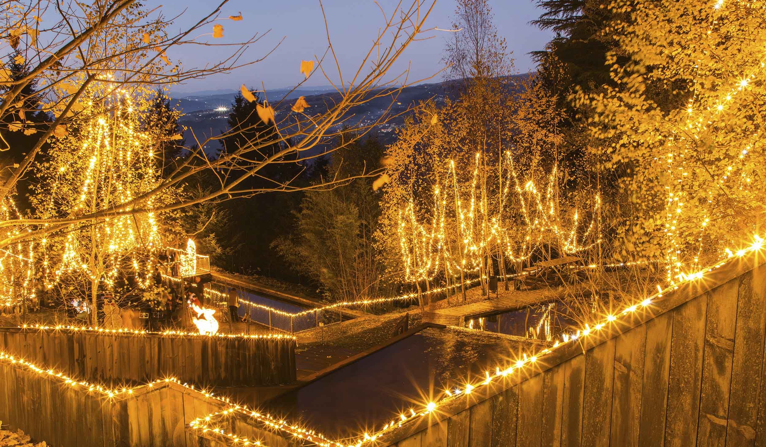 O Natal já iluminou Cinfães!