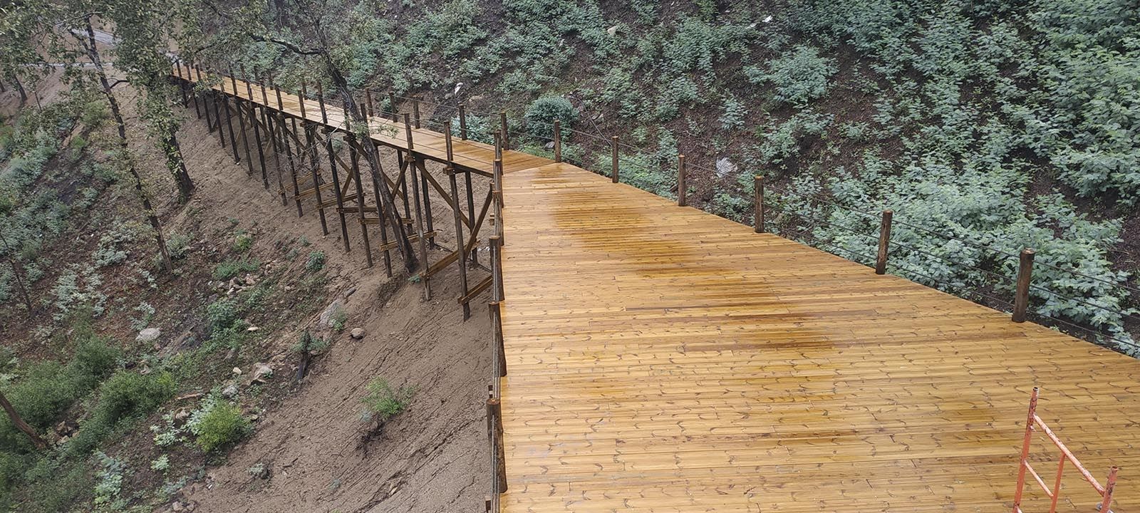 Parque Botânico e Fluvial Temático do Rio Paiva