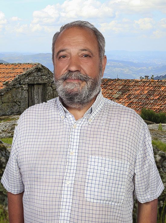 Mário Luís